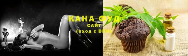 гидра Армянск