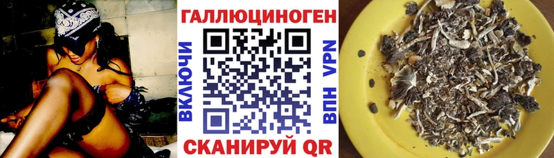 Купить где  Малоархангельск  Псилоцибиновые грибы MAGIC MUSHROOMS 